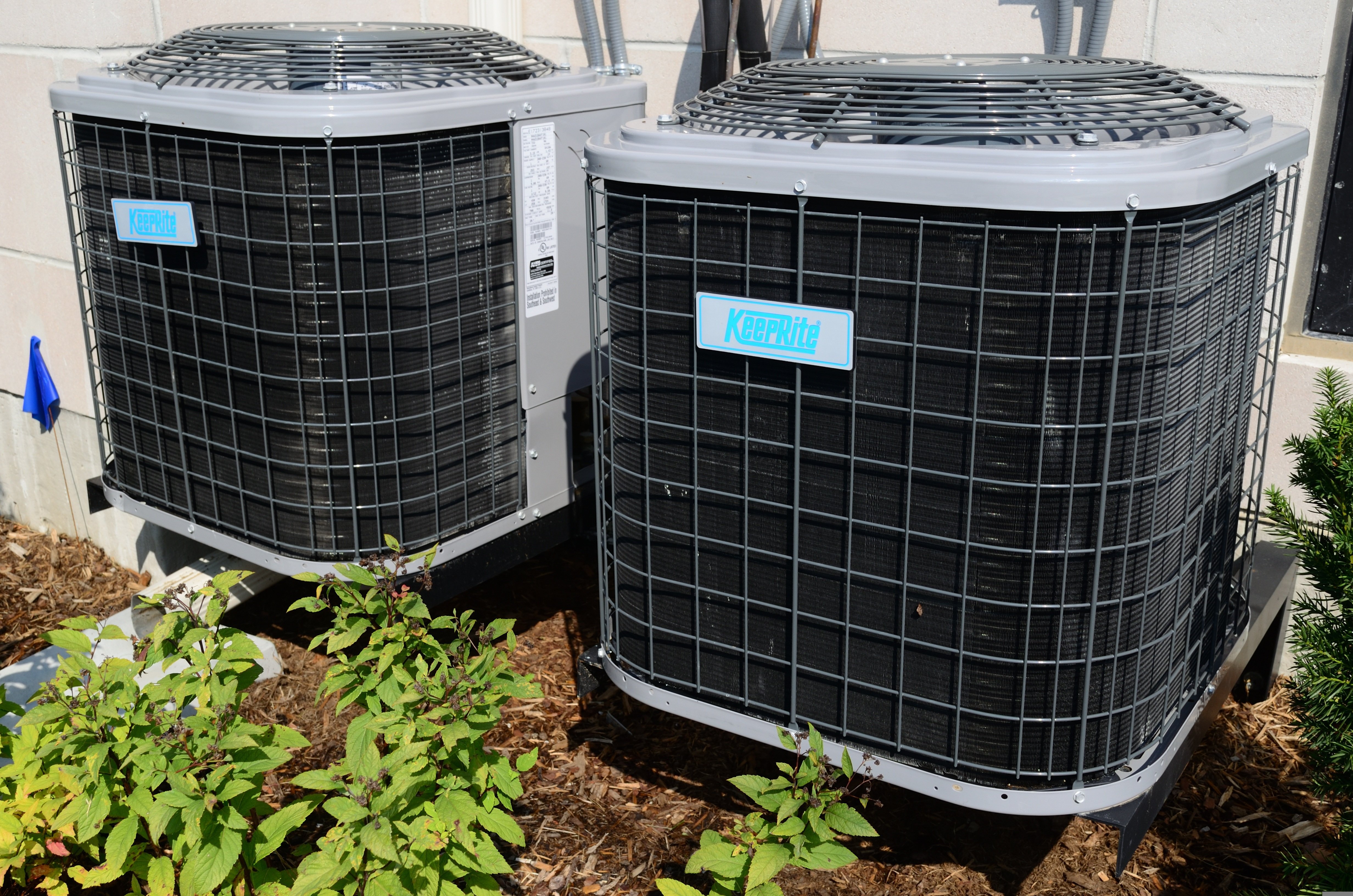 Two clean condenser units installed at the side of a Florida home