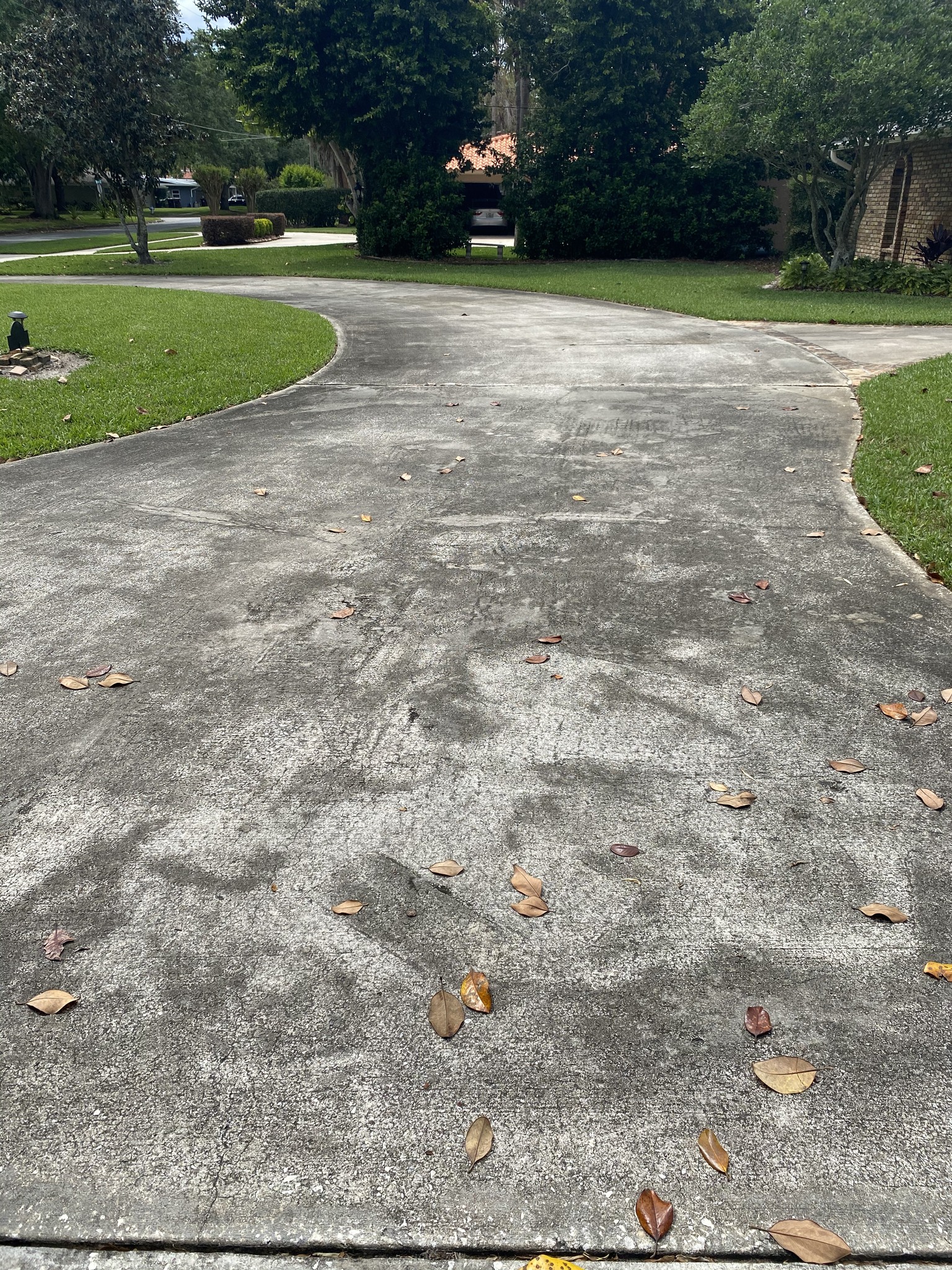 Driveway before pressure washing
